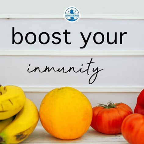 Harness Colloidal Silver Generator Power for Immune Health