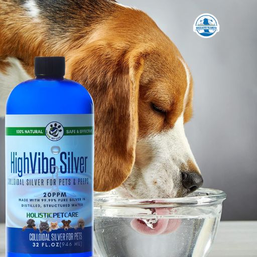 5 Uses for Colloidal Silver in Pets: Is It Safe and Effective?